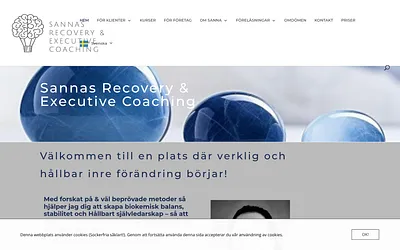 sannasrecoveryandexecutivecoaching.com snapshot