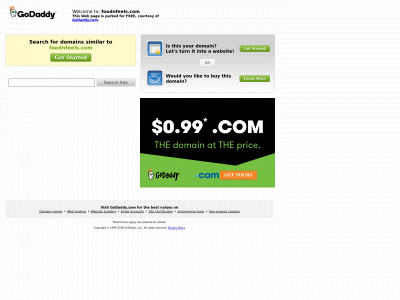 foodnfeels.com snapshot