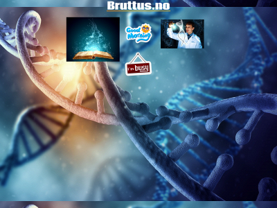 bruttus.no snapshot