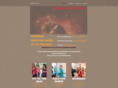 dancefun.be snapshot