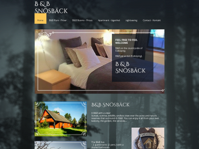 snosback.se snapshot