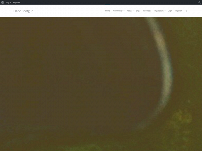 irideshotgun.com snapshot