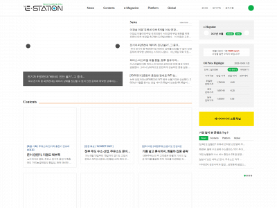 theestation.com snapshot