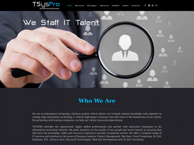 tsyspro.com snapshot