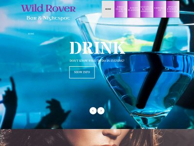 wildroverboston.com snapshot