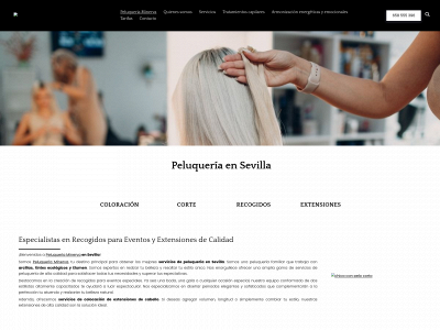 peluqueriaminerva.com snapshot