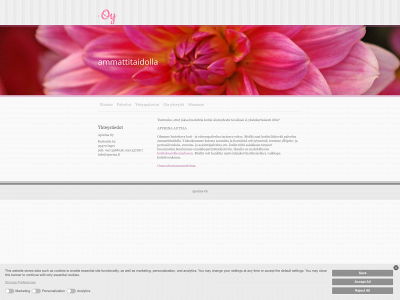 apurina.fi snapshot