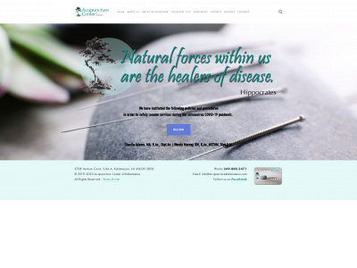 acupuncturekalamazoo.com snapshot