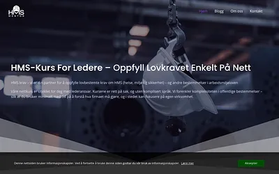 hmsmentor.no snapshot