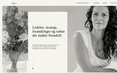 mlux.dk snapshot
