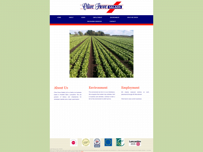 olivegrovesalads.com snapshot