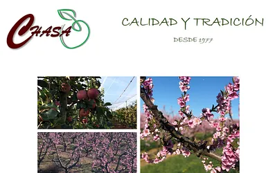 grupchasa.es snapshot