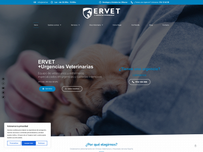 ervet.es snapshot