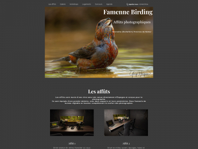 famennebirding.be snapshot