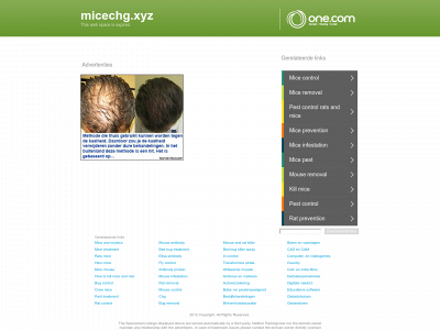 micechg.xyz snapshot