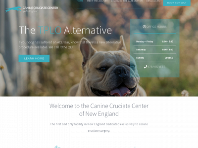 theaclvet.com snapshot