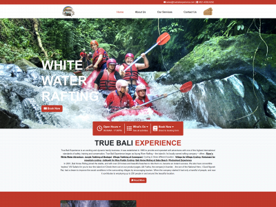 truebaliexperience.com snapshot
