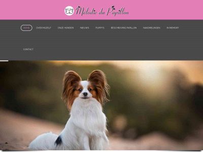 melodiedupapillon.nl snapshot