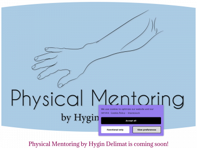 physicalmentoring.com snapshot