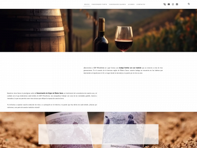 www.bodegaedv.es snapshot