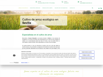 arrocescarbonells.es snapshot