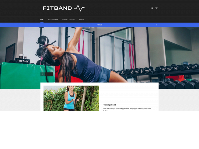 fitband.se snapshot