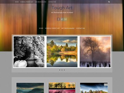 tough-art.co.uk snapshot