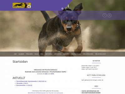 pinschersektionen.se snapshot