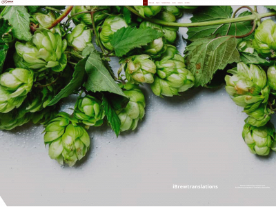 ibrewtranslations.com snapshot