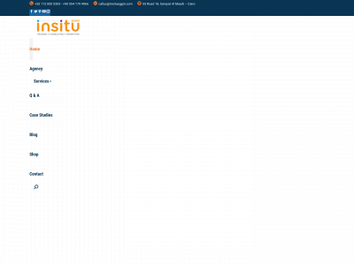 insituegypt.com snapshot