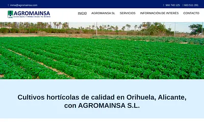 agromainsa.es snapshot