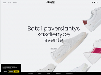 bkode.lt snapshot