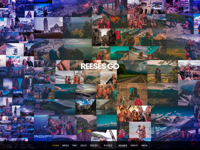 reesesgo.com snapshot