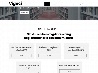vigeci.com snapshot