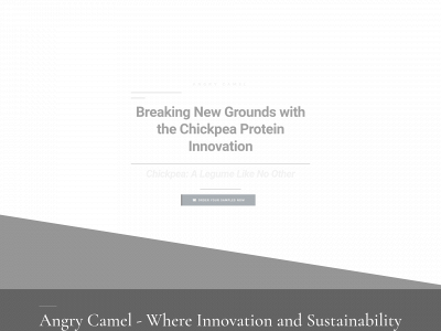 angrycamel.co snapshot