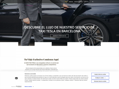 bcntaxitesla.com snapshot