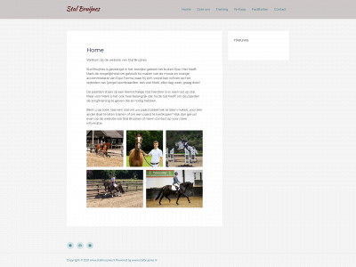 stalbruijnes.nl snapshot