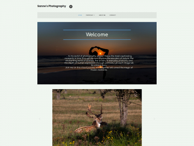 sannewithphotography.nl snapshot