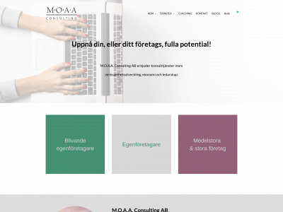 moaaconsulting.com snapshot