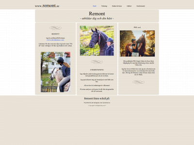 remont.se snapshot