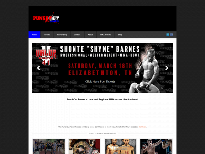 punchoutpower.com snapshot