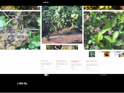 shadyavemicrofarm.com snapshot