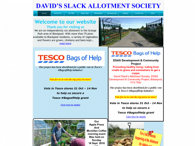 davidsslackallotments.uk snapshot