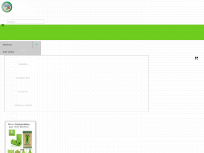 ecosolucionesweb.com snapshot