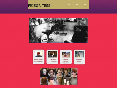 frisoertess.dk snapshot