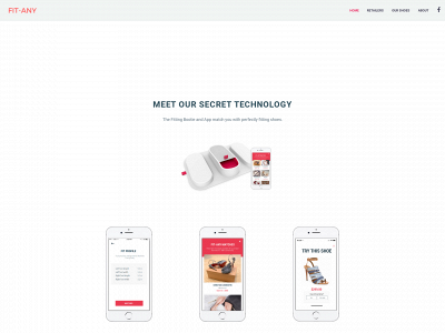 fit-any.com snapshot