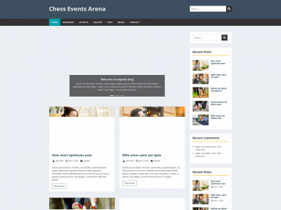 chessarena.org snapshot