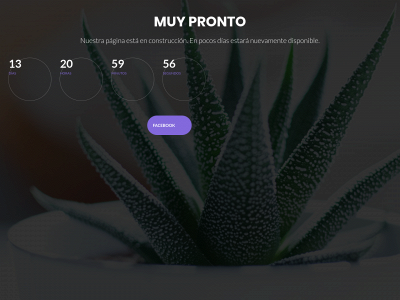 trinitariosperu.com snapshot