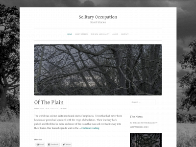 solitaryoccupation.com snapshot
