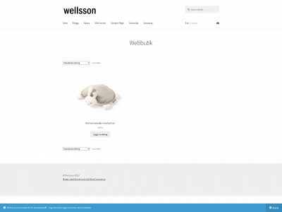 wellsson.com snapshot